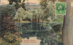 USA Cleveland Weeping Willows Riverside Cemetery Vintage Postcard 07.30