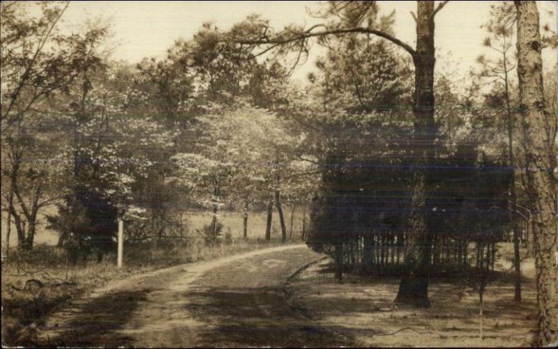 Southern Pines NC c1930 Real Photo Postcard 