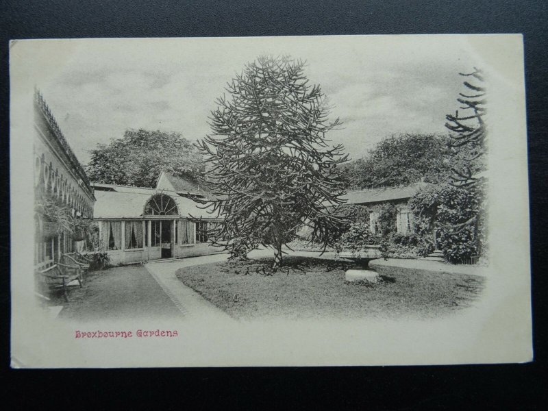 Hertfordshire ? BROXBOURNE GARDENS c1904 Postcard