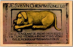 Golden Dog Sculpture Bas-Relief Buade Street Quebec Vintage Postcard O40