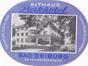 Germany Bad Driburg Althaus Parkhotel Vintage Luggage Label sk2197