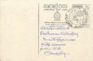 Entier Postal Stationery Postal Sri Lanka Ceylon Lion