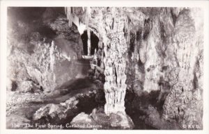 The First Spring Carlsbad Caverns National Park New Mexico Real Photo