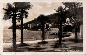 Croatia Opatija Abbazia Gruppo di Palme Vintage RPPC C199