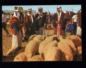 210084 ISRAEL BEER SHEBA market day old postcard