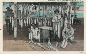CORPUS CHRISTI, Texas, 1910s; Days Catch of fish