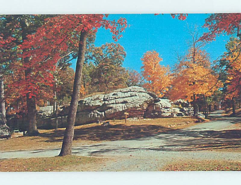 Pre-1980 NATURE SCENE Shawnee Hills - Near Cape Girardeau Illinois IL AD2884