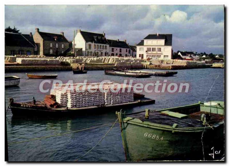 Modern Postcard Carnac Preparation Of Oysters