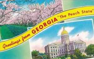 Greetings From Georgia The Peach State Georgia