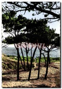 Old Postcard Jean De Monts Sea through Pines