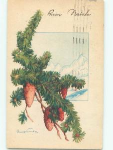 foreign Pre-1980 signed PINECONES HANGING FROM THE TREE AC6789