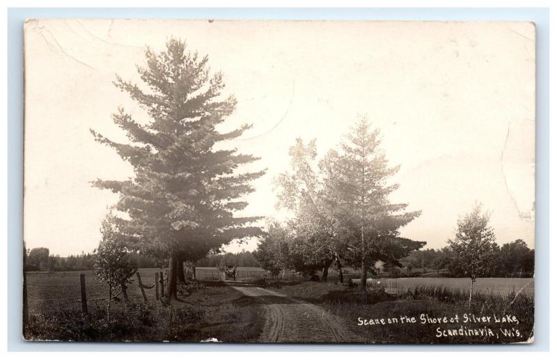Postcard Scene on Shore at Silver Lake, Scandinavia, Wisconsin WI 1908 RPPC H15