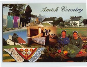 Postcard Amish Country, Pennsylvania
