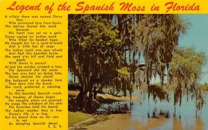 Legend of the Spanish Moss in Florida, USA  