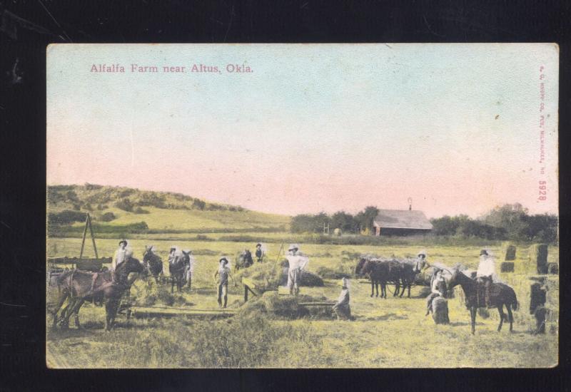 ALTUS OKLAHOMA ALFALFA FARM HORSE DRAWN FARMING ANTIQUE VINTAGE POSTCARD