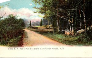 New York Cornwall-On-Hudson E P Roe's Park Boulevard Rotograph