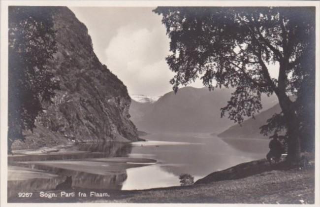 Norway Sogn Parti Fra Flaam Real Photo