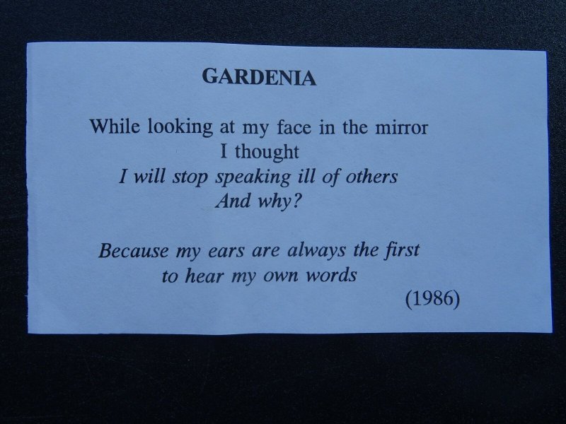 GARDENIA Paintings Poems by Japanese Disabled Artist Tomihiro Hoshino PC