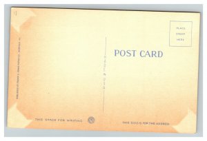 Vintage 1940's Postcard Christ Episcopal Church Potomac  Alexandria Virginia