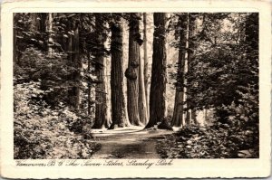 VINTAGE POSTCARD THE SEVEN SISTERS IN STANLEY PARK VANCOUVER BRITISH COLUMBIA