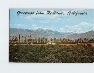 Postcard Greetings from Redlands California USA