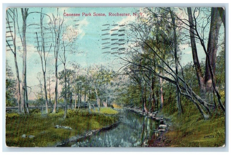 1910 Genesee Park Scene Lake River Rocks Rochester New York NY Vintage Postcard 