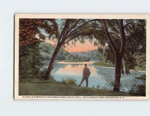 Postcard Island In Genesee River Gorge From Indian Trail, Maplewood Park, N. Y.