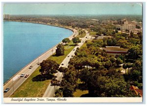 1981 Beautiful Bayshore Drive Tampa Florida FL Vintage Posted Postcard