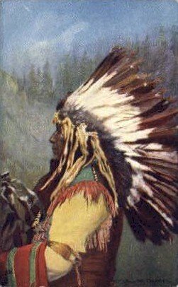 Chief Yellow Thunder Tucks Indian Indians, Unused close to perfect