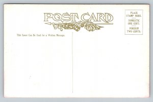 State Capitol  Kentucky   Postcard