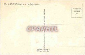 Modern Postcard Lisieux (Calvados) Les Buissonnets