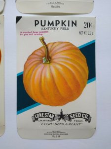 Halloween Gourds Pumpkins Seed Packs EMPTY Vintage Lot Of 4 Gourds Sugar Green