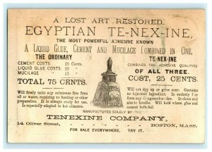 1870's Egyptian Tenexine Liquid Glue Comical Man Glued To Post P166