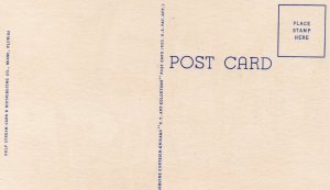 11178 Greetings From Miami Beach, Florida, Large Letters