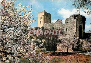 Postcard Modern spring landscape of the country Rear Mediterraneen