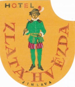 Czechoslovakia Jihlava Hotel Zlathvezda Vintage Luggage Label sk3667