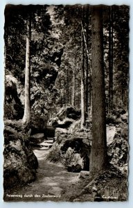 RPPC Felsenweg durch den Zauberwald Germany Postcard