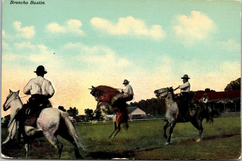 Bronco Bustin Cowboys Bucking Horse Mustang Postcard DB UNP
