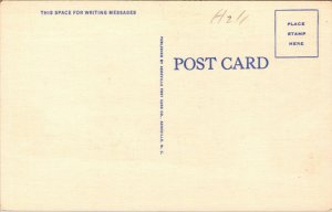 Vtg Clayton Georgia GA Hotel Green and Annex 1930s Unused Linen Postcard