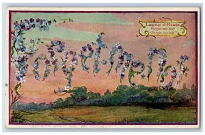 Language Of Flowers Romance Postcard Forget Me Not St. Joseph Missouri MO 1910