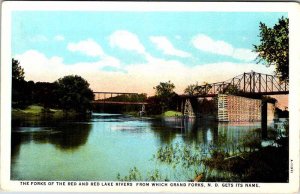 Postcard BRIDGE SCENE Which Grand Forks North Dakota ND AL7491