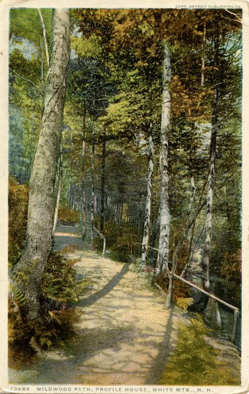 NH - Franconia Notch. Wildwood Path at the Profile House