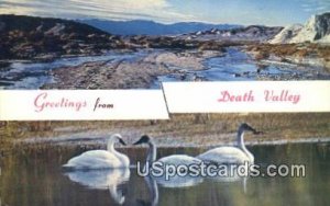 Salt Creek & Whistling Swans - Death Valley National Monument, CA