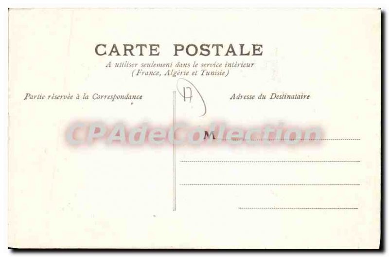 Old Postcard La Rochelle Le Cedre