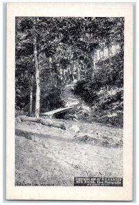 Path To The Cave Looking Up Mammoth Cave Kentucky KY Vintage Unposted Postcard