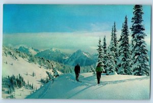 Tatoosh Range Washington Postcard Skiers Touring Ridges In Van Trump Park c1960s