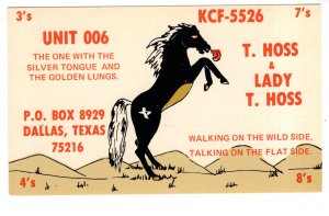 Horse, T Hoss, Dallas Texas, QSL Postcard,