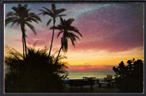 Purple Sunset,Gulf of Mexico BIN