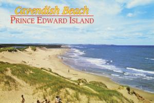 Cavendish Beach Prince Edward Island PE PEI ON Ontario Postcard D20