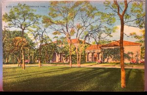 Vintage Postcard 1930-1945 Witte Museum, Brackenbridge Park, San Antonio, Texas